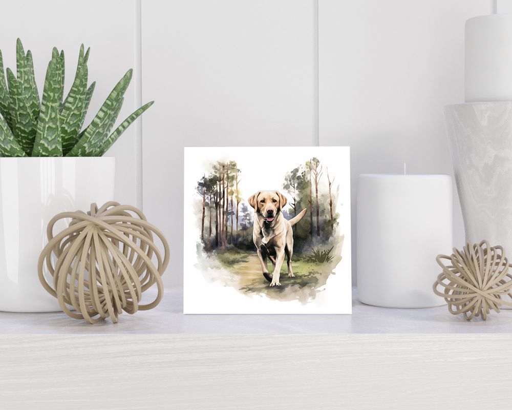 Tegel 15x15 cm Labrador Retriever