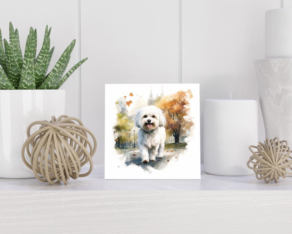 Tegel 15x15 cm Maltese Dog