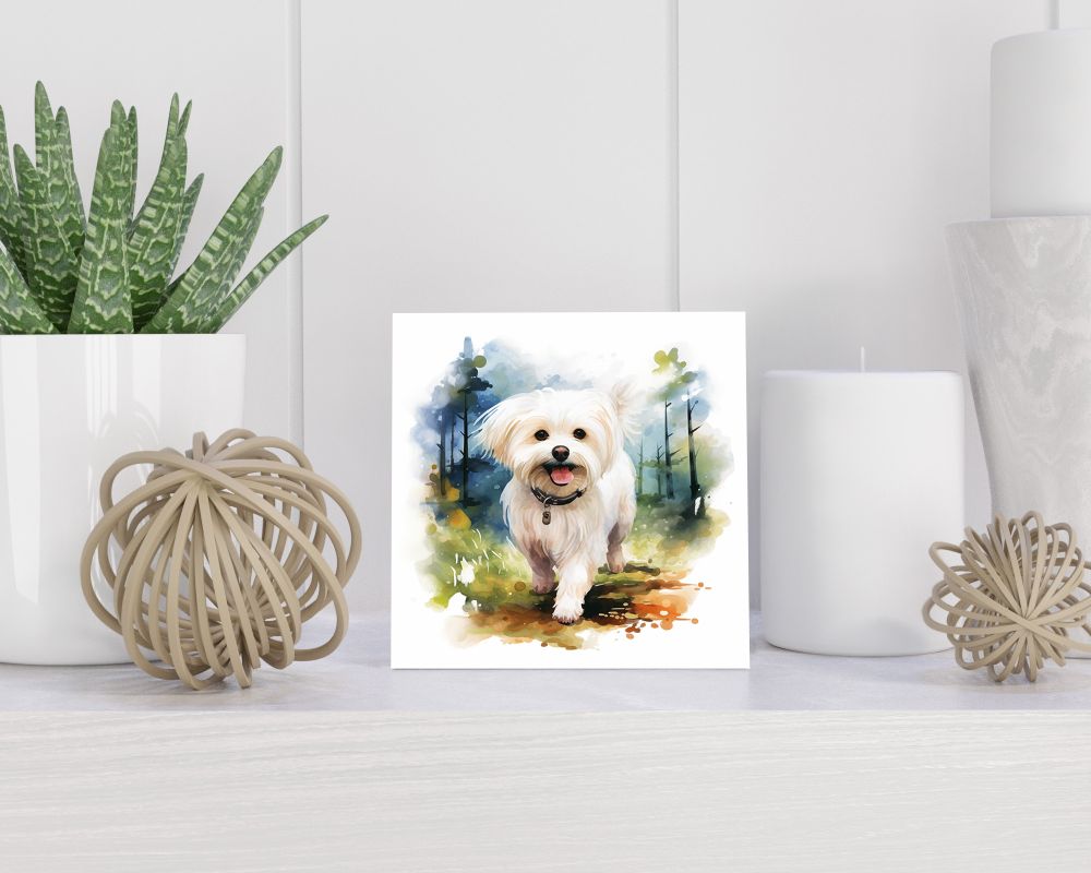 Tegel 15x15 cm Maltese Dog