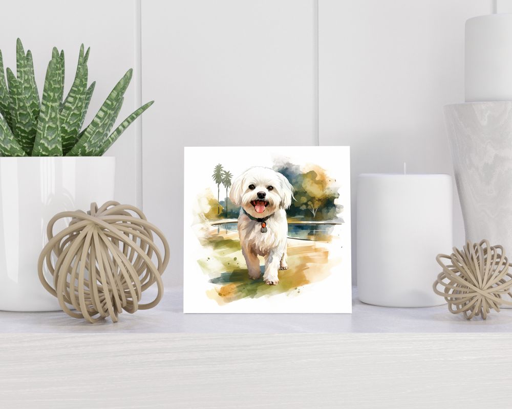 Tegel 15x15 cm Maltese Dog