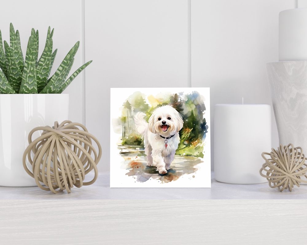 Tegel 15x15 cm Maltese Dog