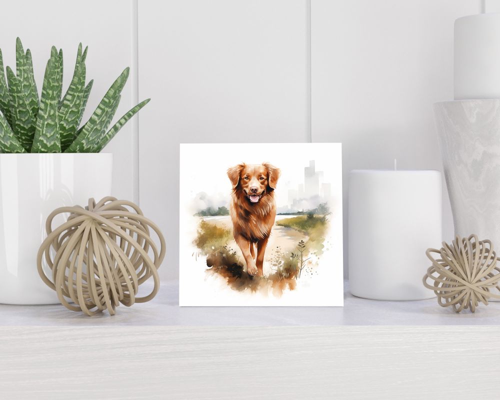 Tegel 15x15 cm Nova Scotia Duck Tolling Retriever