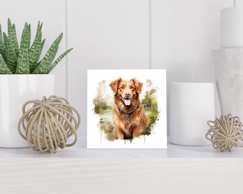 Tegel 15X15 Cm Met Nova Scotia Duck Tolling Retriever Cadeau Decoratie | Tegeltjes Met Tekst | Tegeltjes Met Spreuken | Collega | Oma | Opa | Pensioen | Mama | Papa | Vriend Tegel 15x15 cm Nova Scotia Duck Tolling Retriever