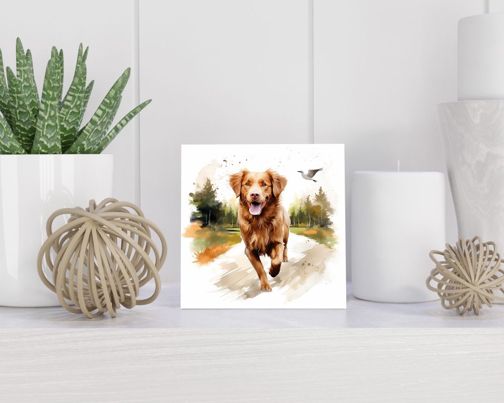 Tegel 15X15 Cm Met Nova Scotia Duck Tolling Retriever Cadeau Decoratie | Tegeltjes Met Tekst | Tegeltjes Met Spreuken | Collega | Oma | Opa | Pensioen | Mama | Papa | Vriend Tegel 15x15 cm Nova Scotia Duck Tolling Retriever
