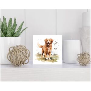 Tegel 15x15 cm Nova Scotia Duck Tolling Retriever