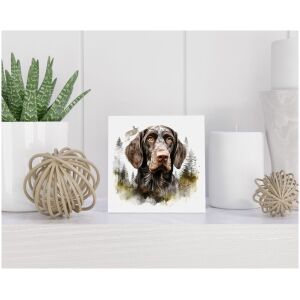 Tegel 15x15 cm Duitse Staande Draadhaar