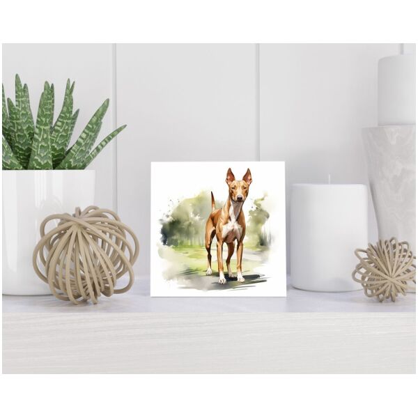 Tegel 15X15 Cm Met Podenco Ibicenco Cadeau Decoratie | Tegeltjes Met Tekst | Tegeltjes Met Spreuken | Collega | Oma | Opa | Pensioen | Mama | Papa | Vriend Tegel 15x15 cm Podenco Ibicenco