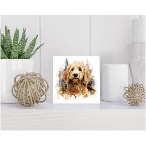 Tegel 15x15 cm Goldendoodle
