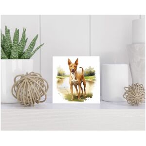 Tegel 15x15 cm Podenco Ibicenco