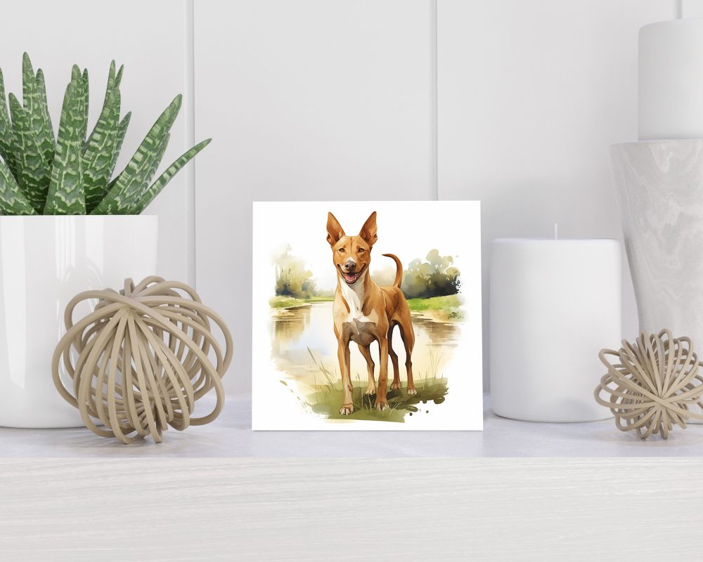 Tegel 15X15 Cm Met Podenco Ibicenco Cadeau Decoratie | Tegeltjes Met Tekst | Tegeltjes Met Spreuken | Collega | Oma | Opa | Pensioen | Mama | Papa | Vriend Tegel 15x15 cm Podenco Ibicenco