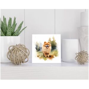 Tegel 15x15 cm Pomeranian