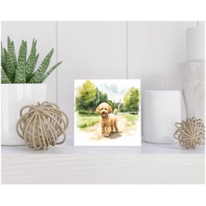 Tegel 15x15 cm Dwergpoedel