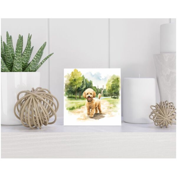 Tegel 15x15 cm Dwergpoedel