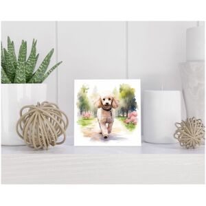 Tegel 15x15 cm Dwergpoedel