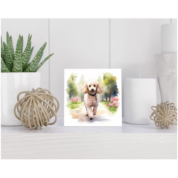 Tegel 15x15 cm Dwergpoedel