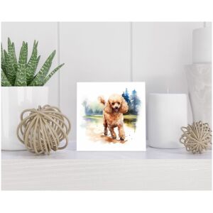 Tegel 15x15 cm Dwergpoedel