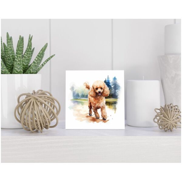 Tegel 15x15 cm Dwergpoedel