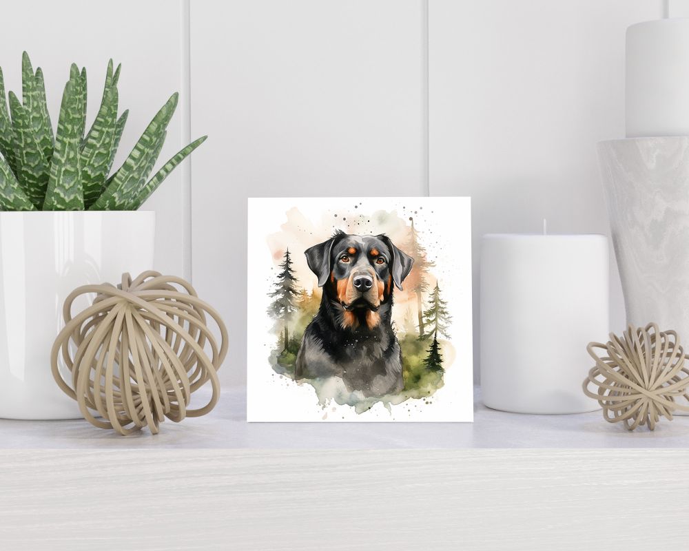Tegel 15x15 cm Grote Zwitserse Sennenhond
