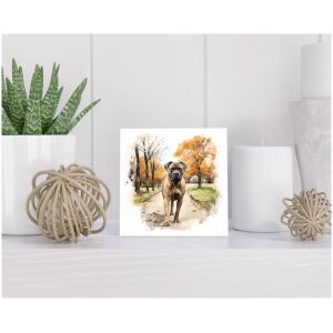 Tegel 15x15 cm Presa Canario