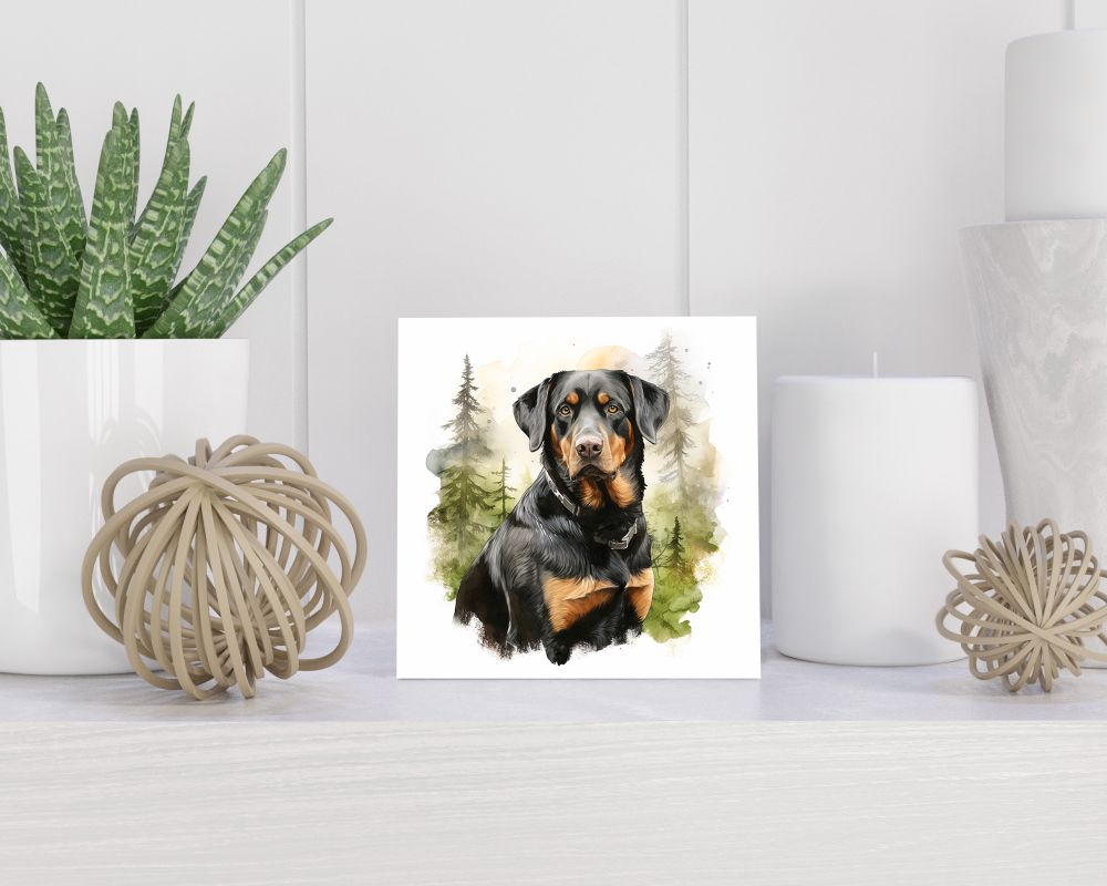 Tegel 15x15 cm Grote Zwitserse Sennenhond
