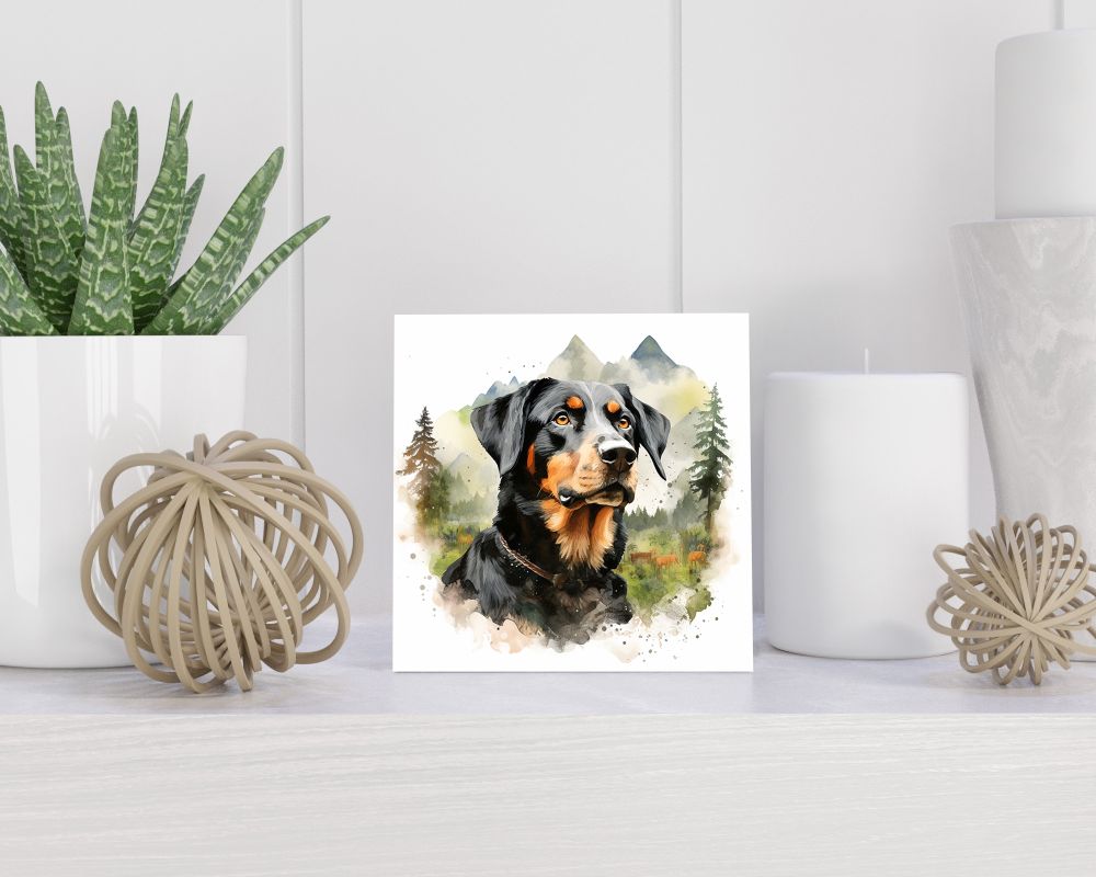 Tegel 15x15 cm Grote Zwitserse Sennenhond
