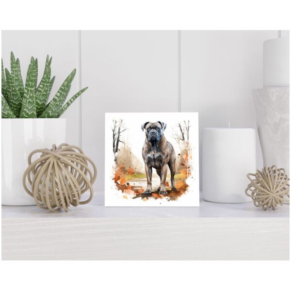 Tegel 15x15 cm Presa Canario