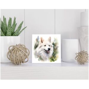 Tegel 15x15 cm American Eskimohond