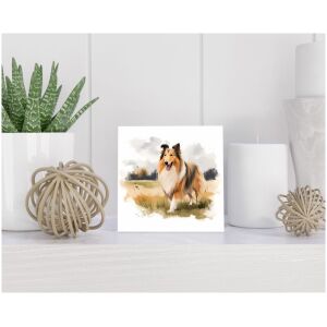 Tegel 15x15 cm Langharige Collie