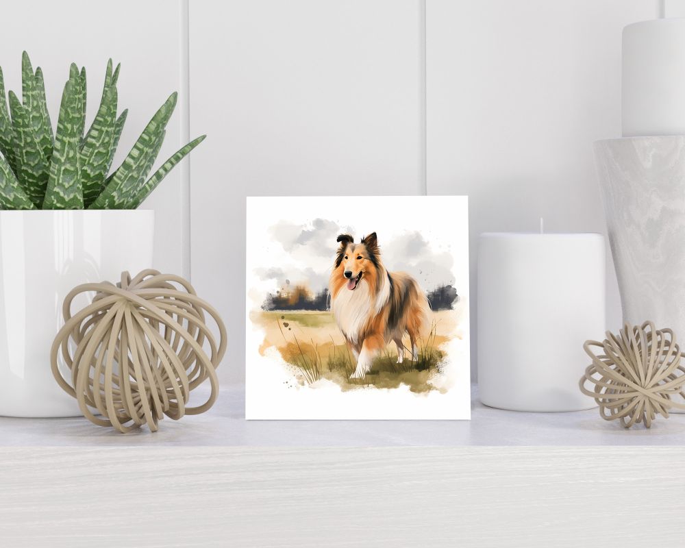 Tegel 15x15 cm Langharige Collie
