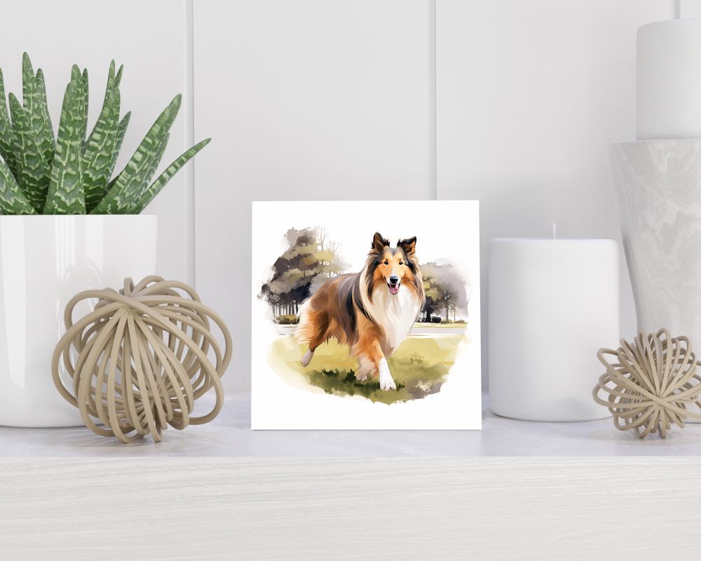 Tegel 15x15 cm Langharige Collie