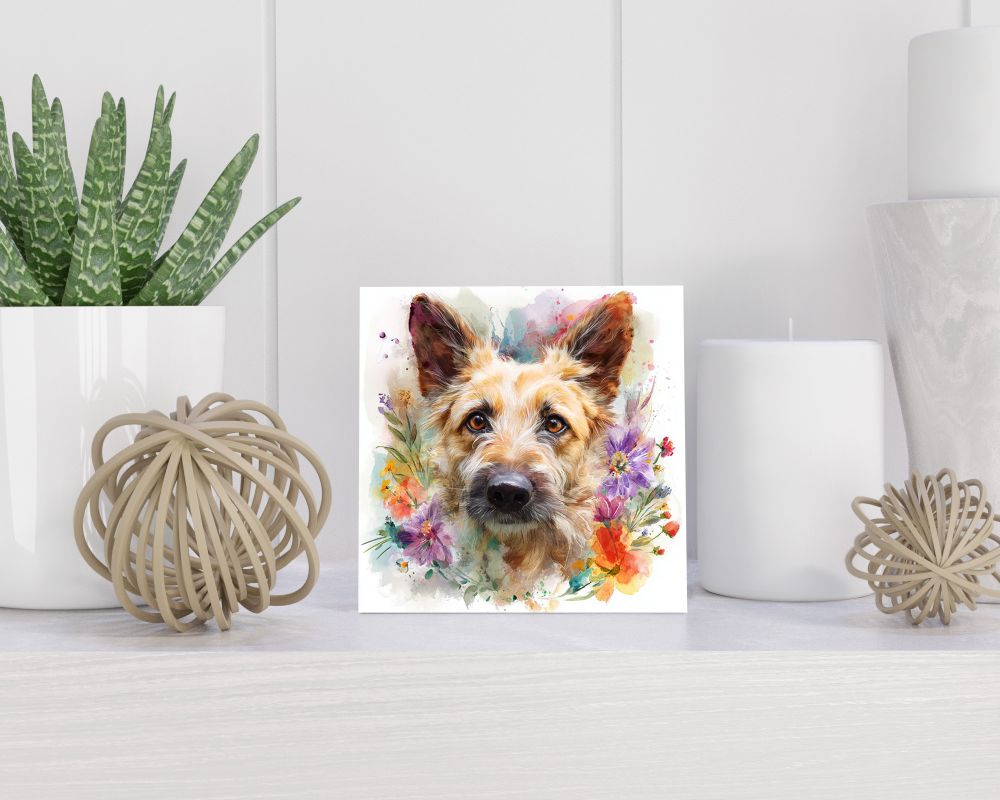 Tegel 15X15 Cm Met Belgische Herder (Laekense) Cadeau Decoratie | Tegeltjes Met Tekst | Tegeltjes Met Spreuken | Collega | Oma | Opa | Pensioen | Mama | Papa | Vriend Tegel 15x15 cm Belgische Herder (Laekense)