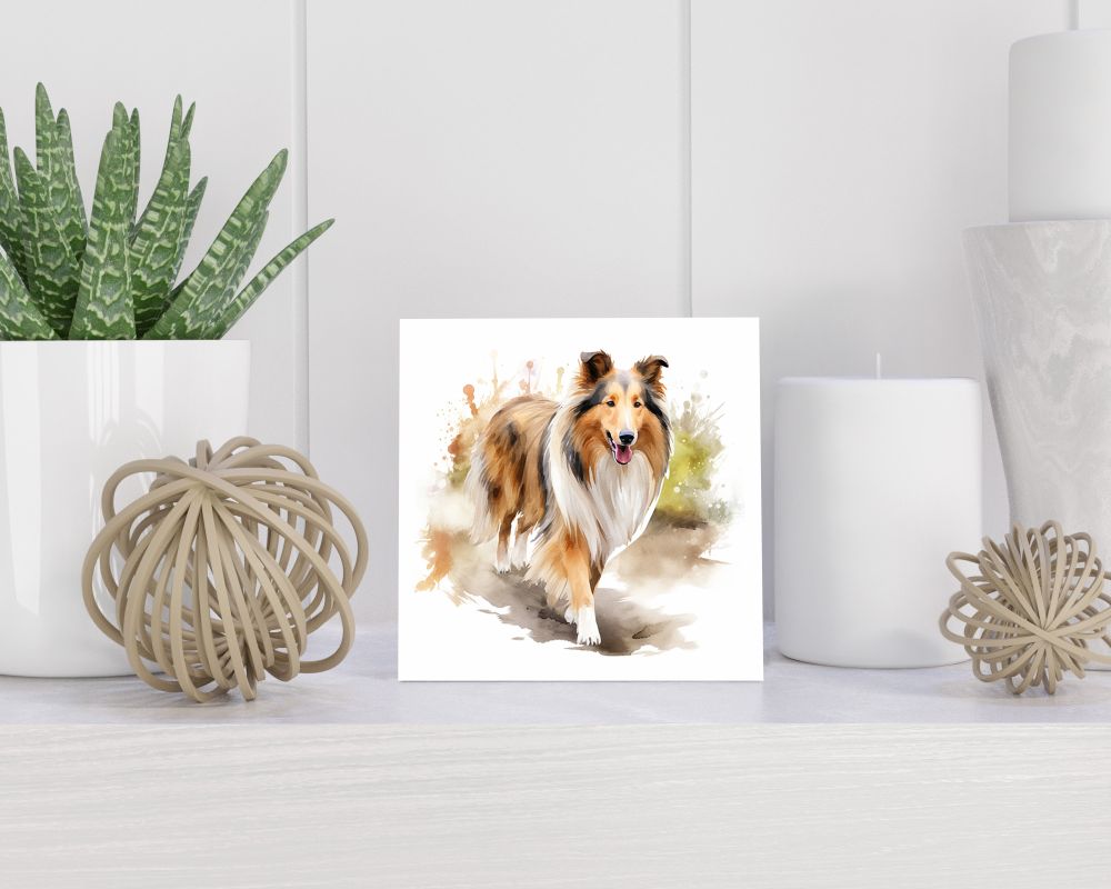 Tegel 15x15 cm Langharige Collie