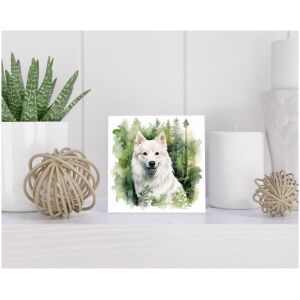 Tegel 15x15 cm Japanse Spits