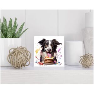 Tegel 15x15 cm Border Collie