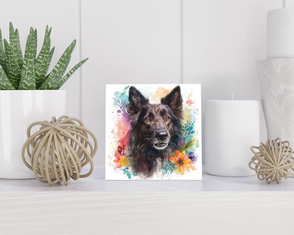 Tegel 15X15 Cm Met Belgische Herder (Groenendaeler) Cadeau Decoratie | Tegeltjes Met Tekst | Tegeltjes Met Spreuken | Collega | Oma | Opa | Pensioen | Mama | Papa | Vriend Tegel 15x15 cm Belgische Herder (Groenendaeler)