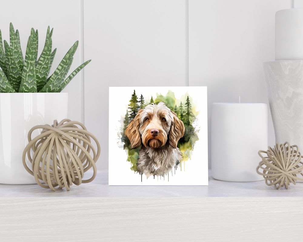 Tegel 15x15 cm Labradoodle