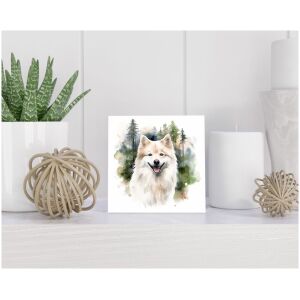 Tegel 15x15 cm American Eskimohond