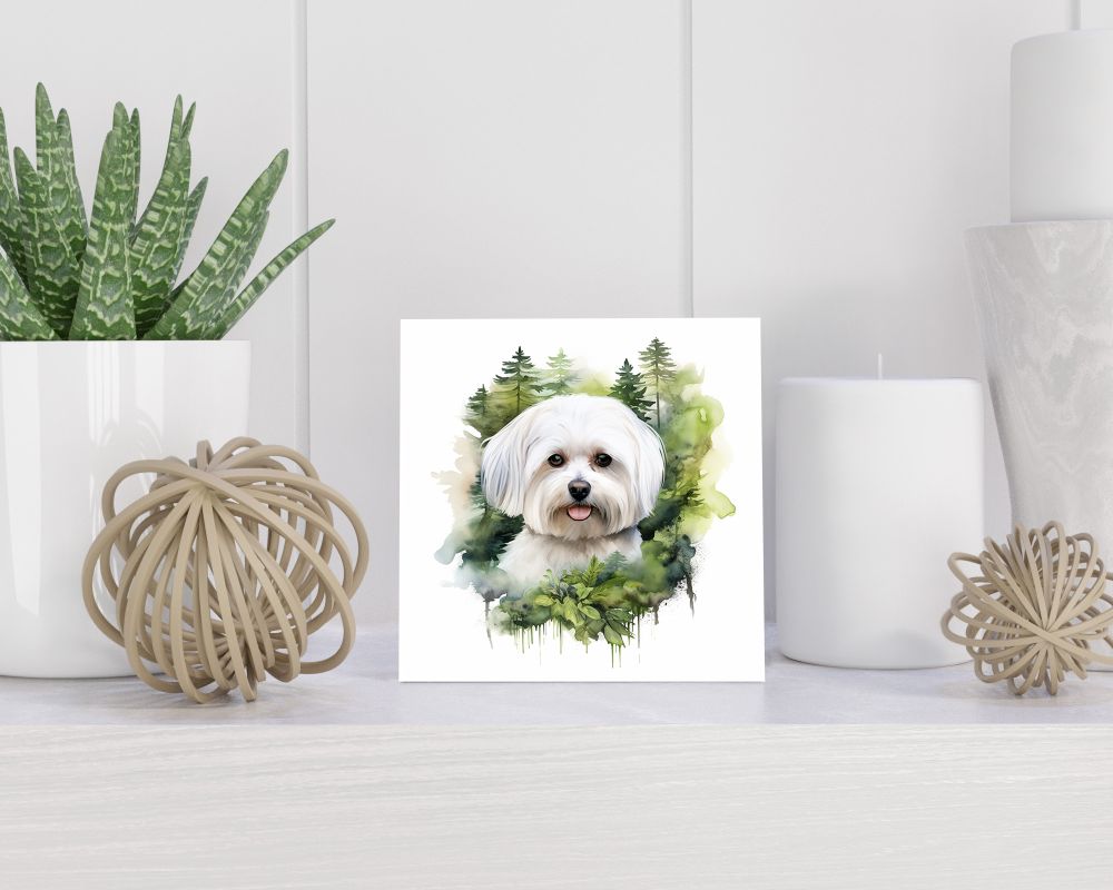 Tegel 15x15 cm Maltese Dog