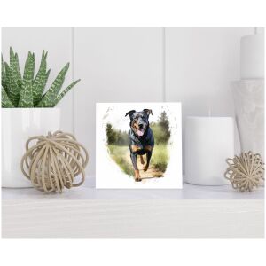 Tegel 15x15 cm Beauceron
