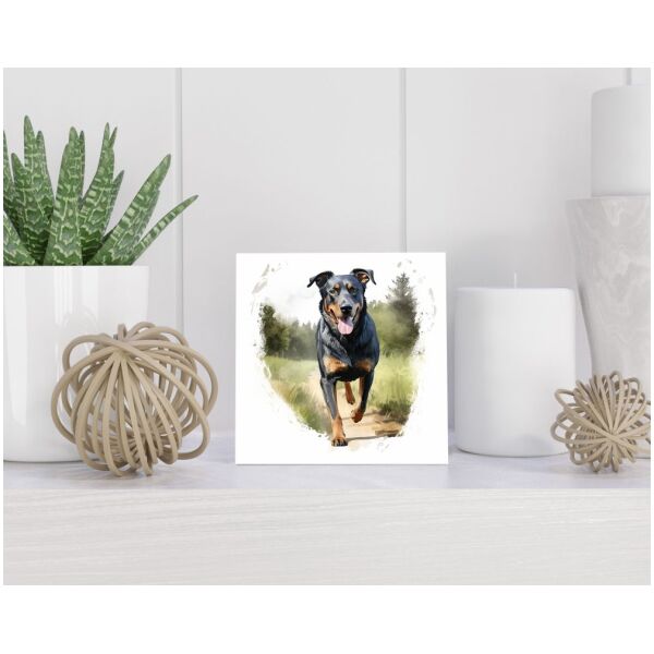 Tegel 15x15 cm Beauceron