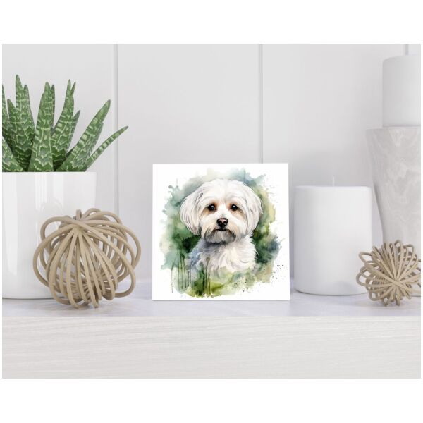 Tegel 15x15 cm Maltese Dog