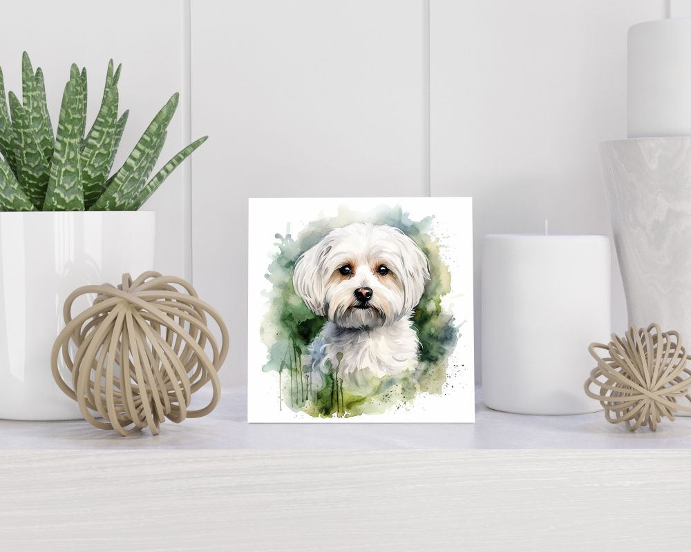 Tegel 15x15 cm Maltese Dog