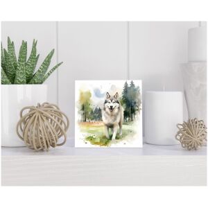 Tegel 15x15 cm Siberian Husky