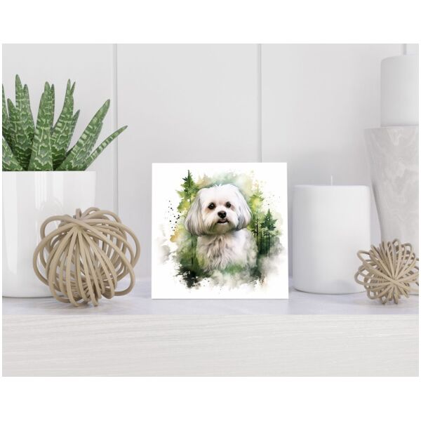 Tegel 15X15 Cm Met Maltese Dog Cadeau Decoratie | Tegeltjes Met Tekst | Tegeltjes Met Spreuken | Collega | Oma | Opa | Pensioen | Mama | Papa | Vriend Tegel 15x15 cm Maltese Dog