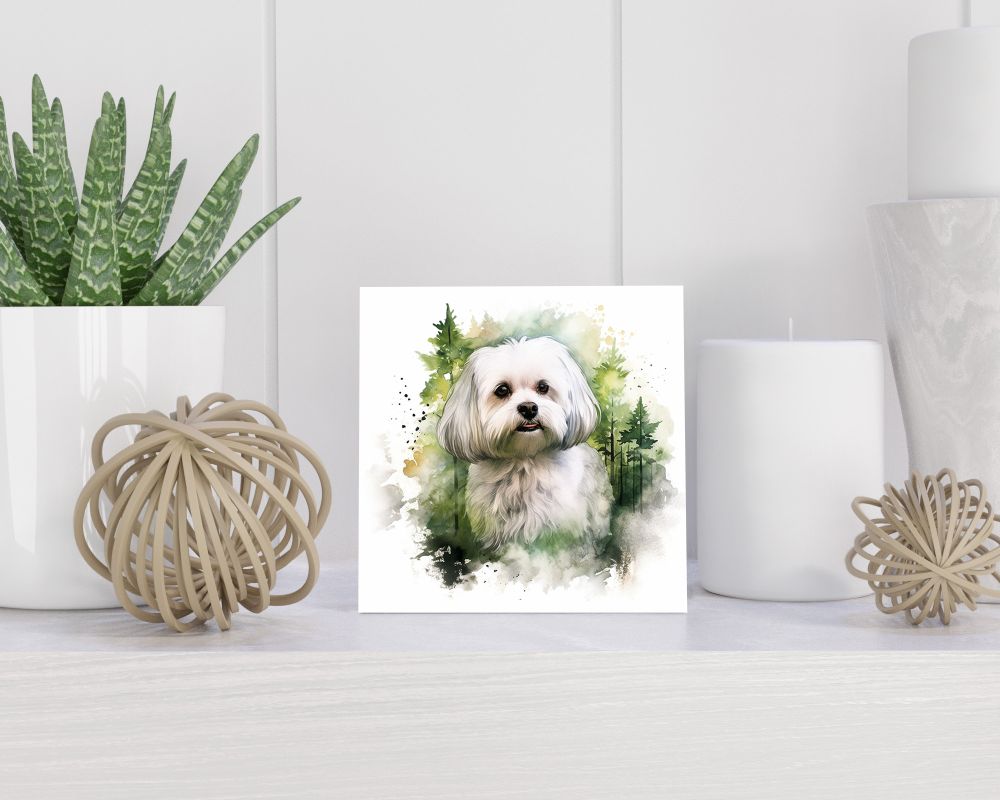 Tegel 15X15 Cm Met Maltese Dog Cadeau Decoratie | Tegeltjes Met Tekst | Tegeltjes Met Spreuken | Collega | Oma | Opa | Pensioen | Mama | Papa | Vriend Tegel 15x15 cm Maltese Dog