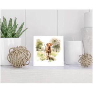 Tegel 15x15 cm Vizsla