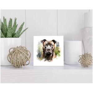 Tegel 15x15 cm American Staffordshire Terriër