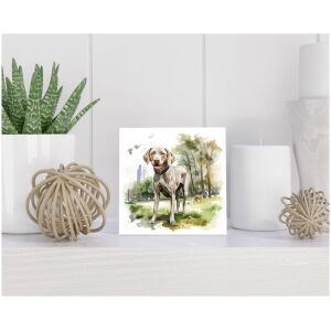 Tegel 15x15 cm Weimaraner