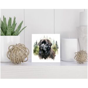 Tegel 15x15 cm Newfoundland