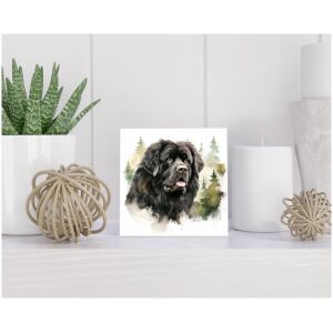 Tegel 15x15 cm Newfoundland